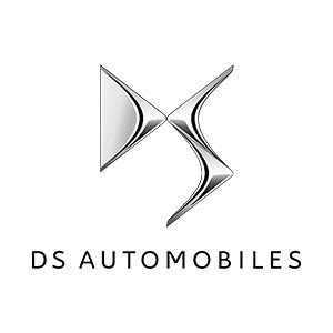 DS Logo